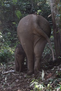 DSC_0251 (2)