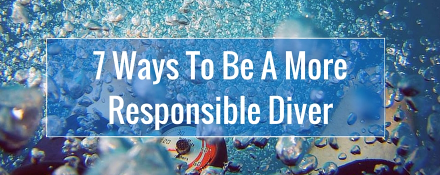 7 Ways To Be A More Responsible Diver | GVI