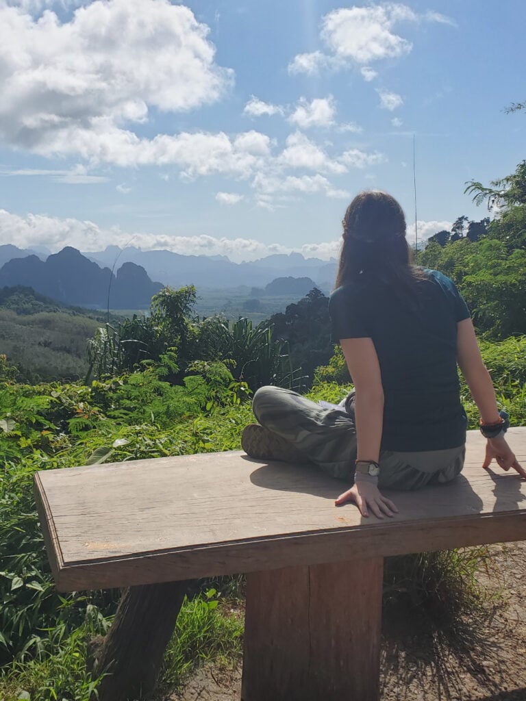 Looking out into the view