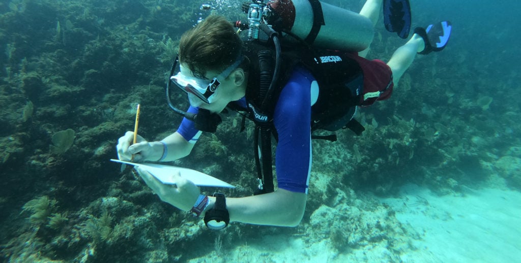 Mexico Marine Conservation Expedition and PADI Divemaster Internship