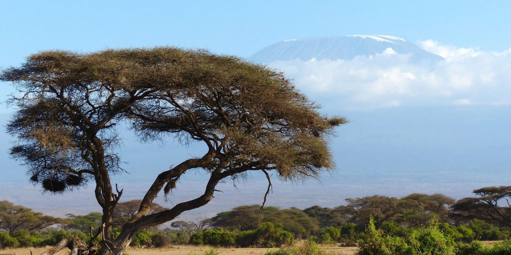 Where is Mount Kilimanjaro? 