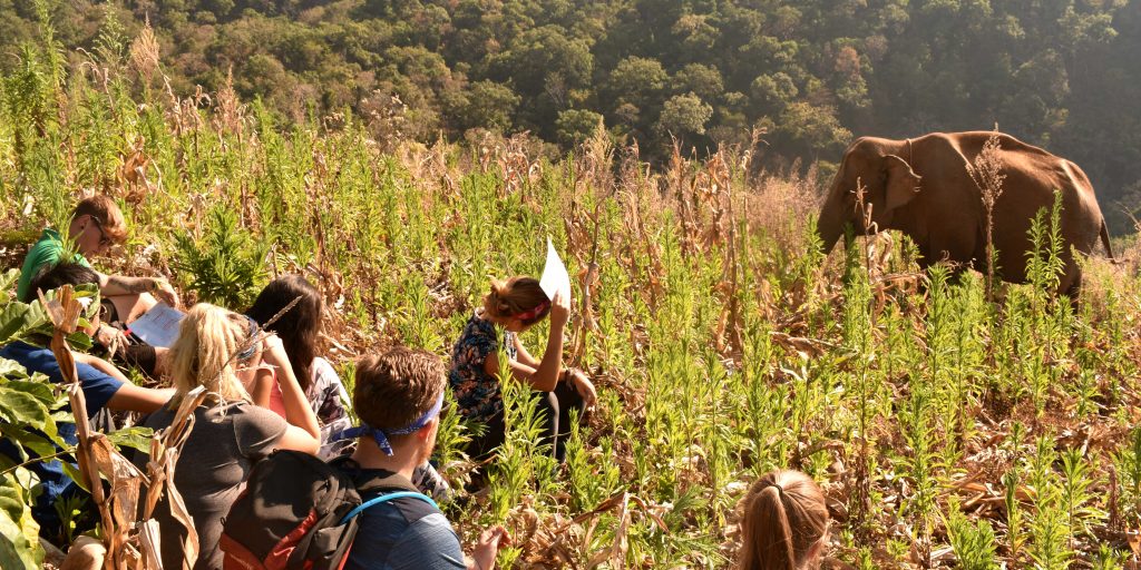 Gap year travel essentials like travel insurance, and budgeting should not be taken for granted. Pictured: GVI participants in Chiang Mai take part in daily hikes to monitor the progress of rescued elephants.