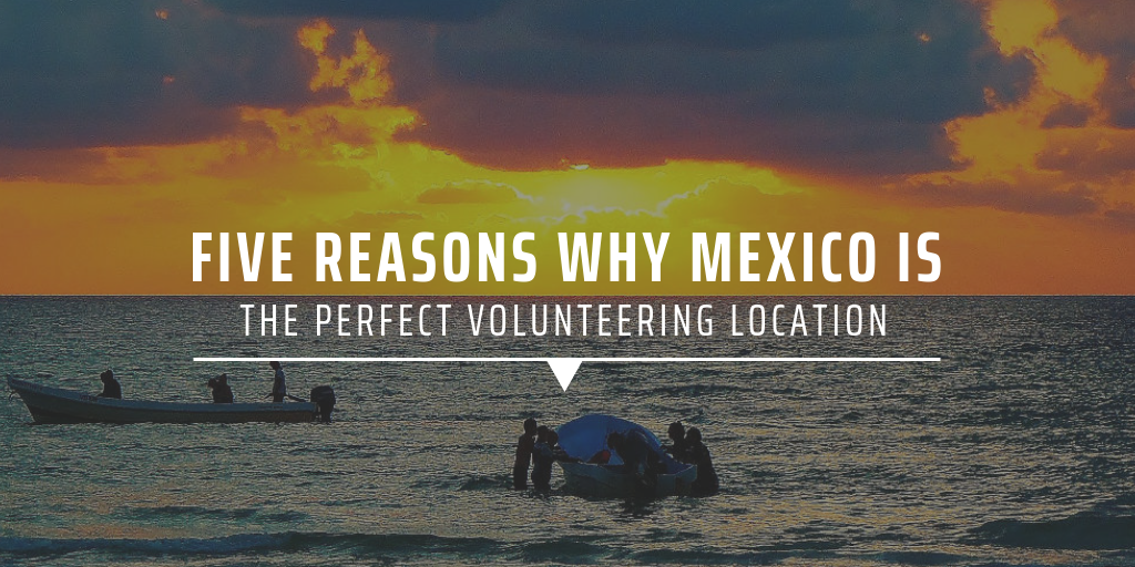 Five reasons why Mexico is the perfect volunteering destination