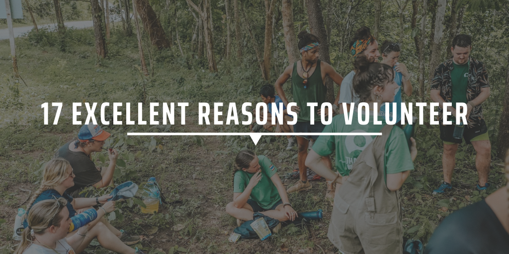17 excellent reasons to volunteer