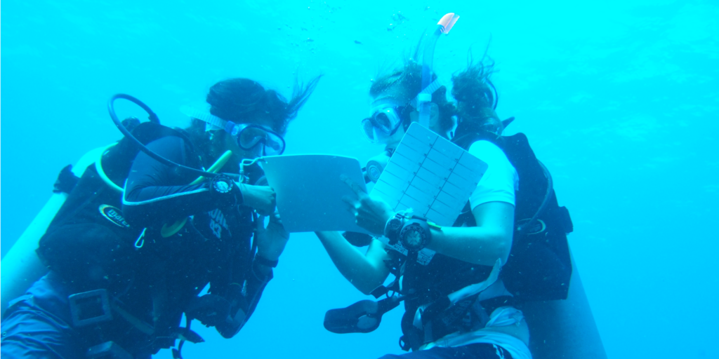 GVI volunteers busy with marine conservation research. 