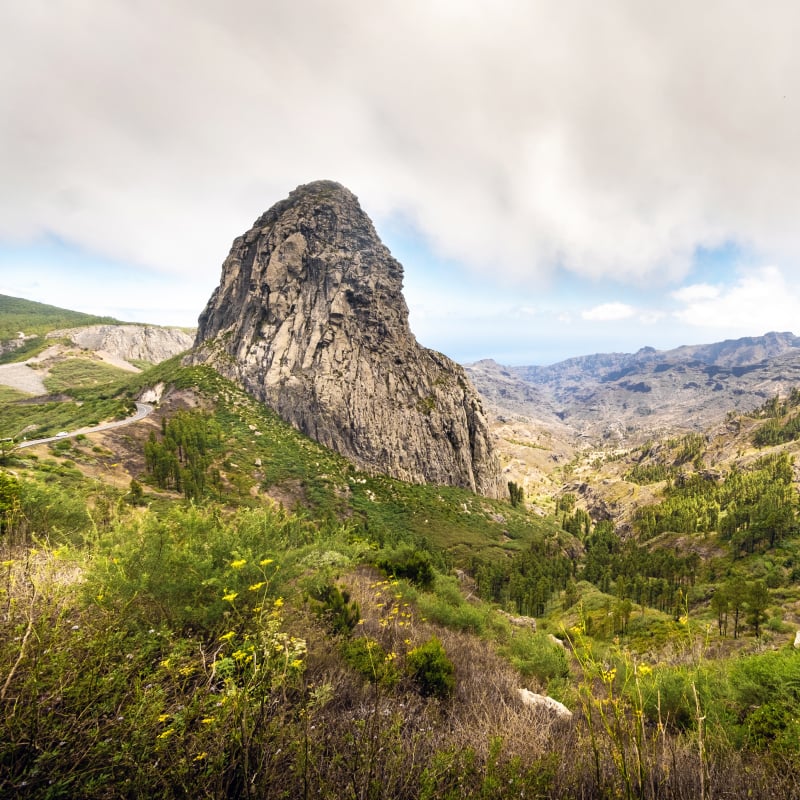 Explore an ancient tropical forest 