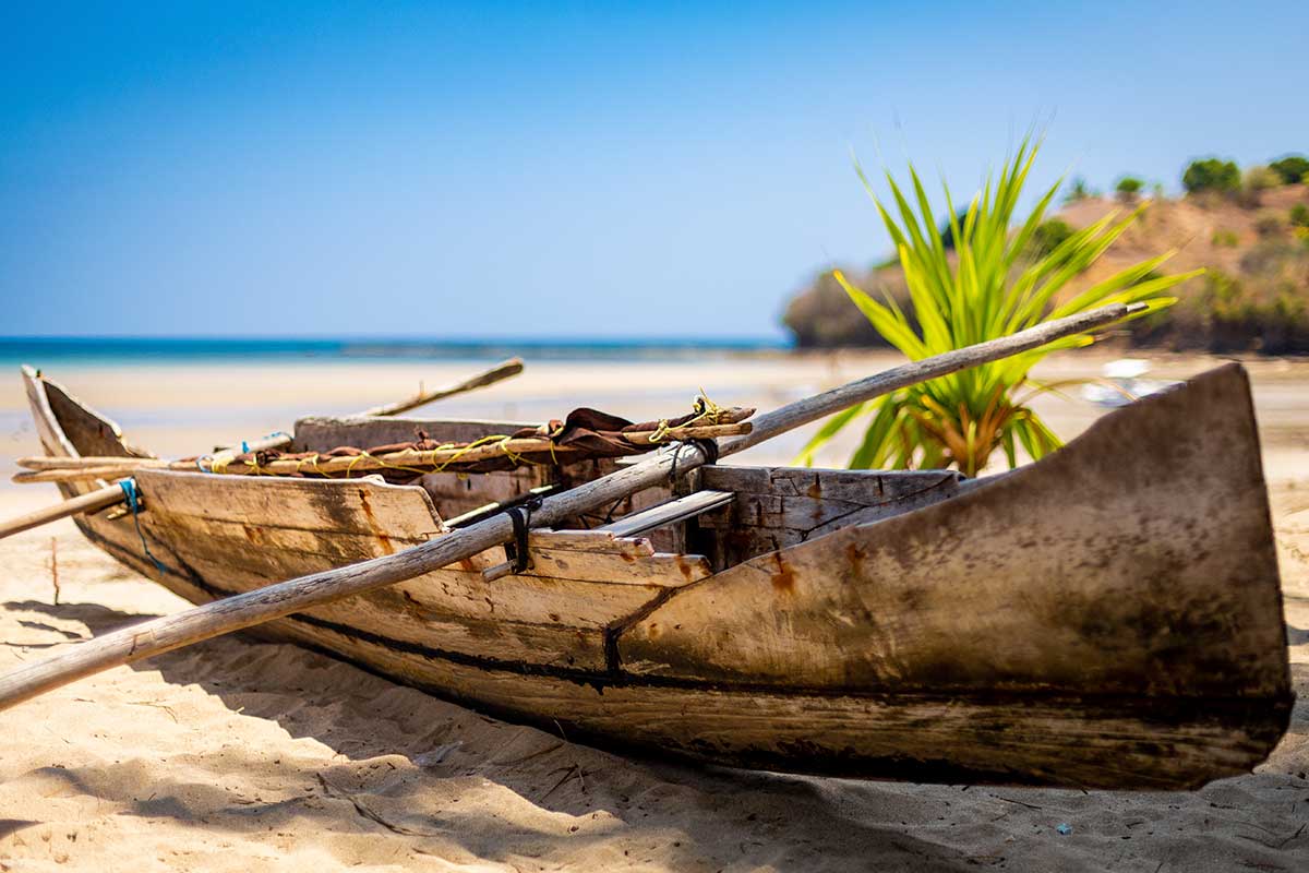 Handcraft your own canoes