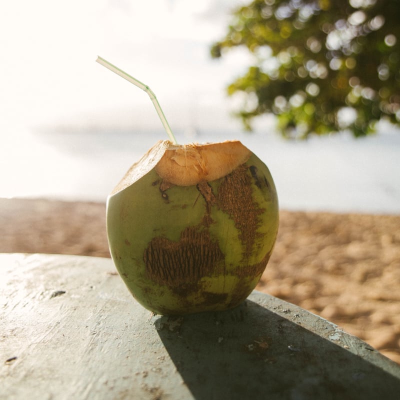 Make a traditional drink from kava root