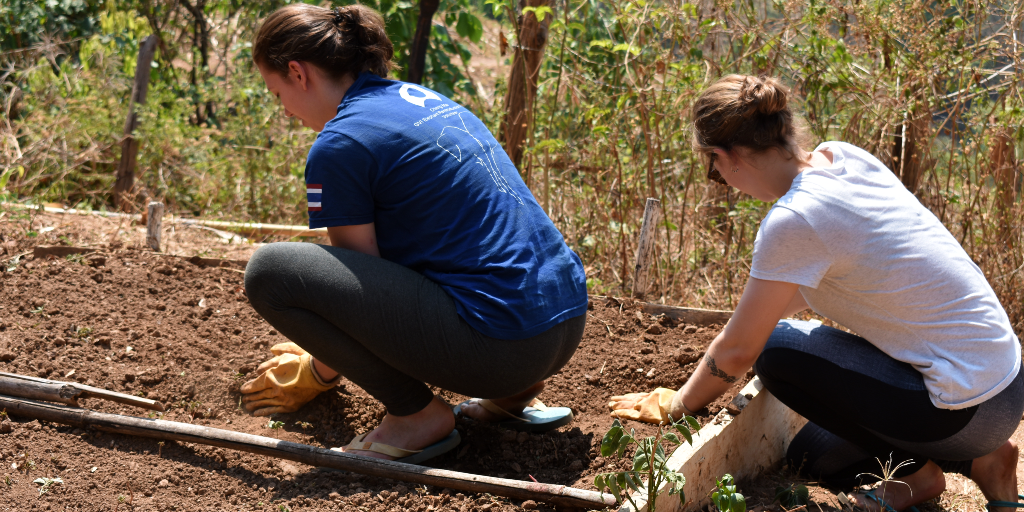 Participants planting seeds in soil