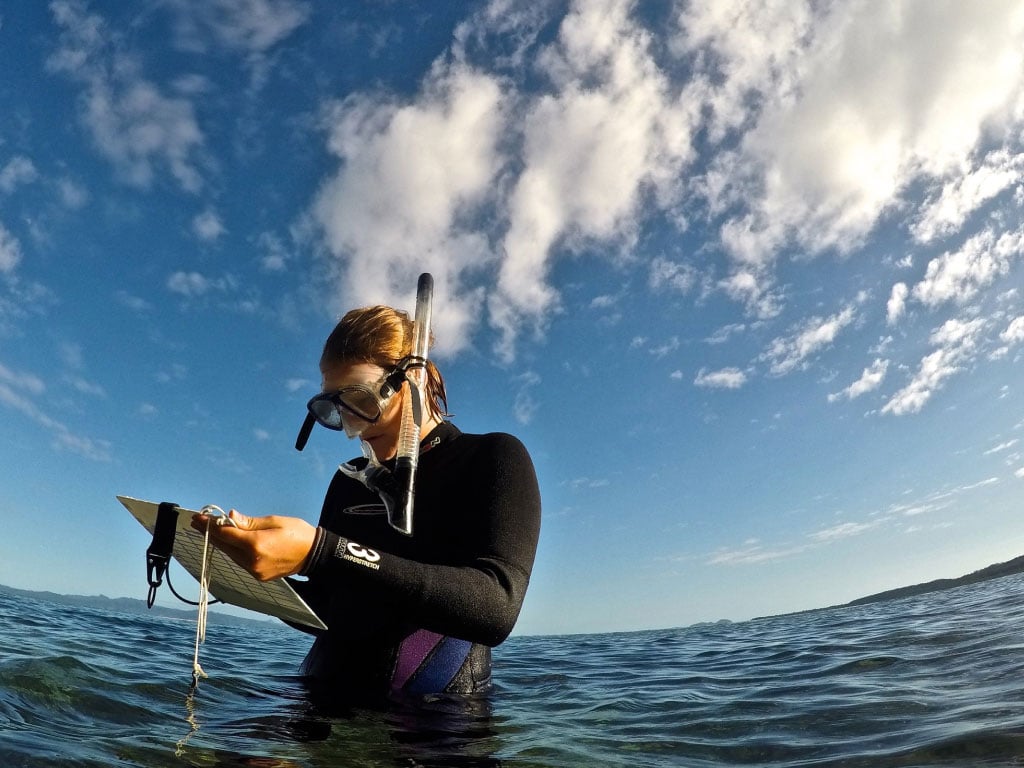 dive survey