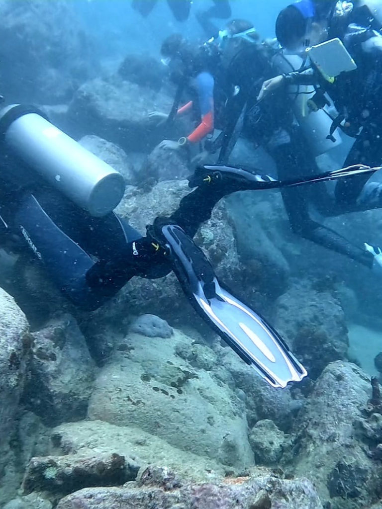 diving in the seychelles