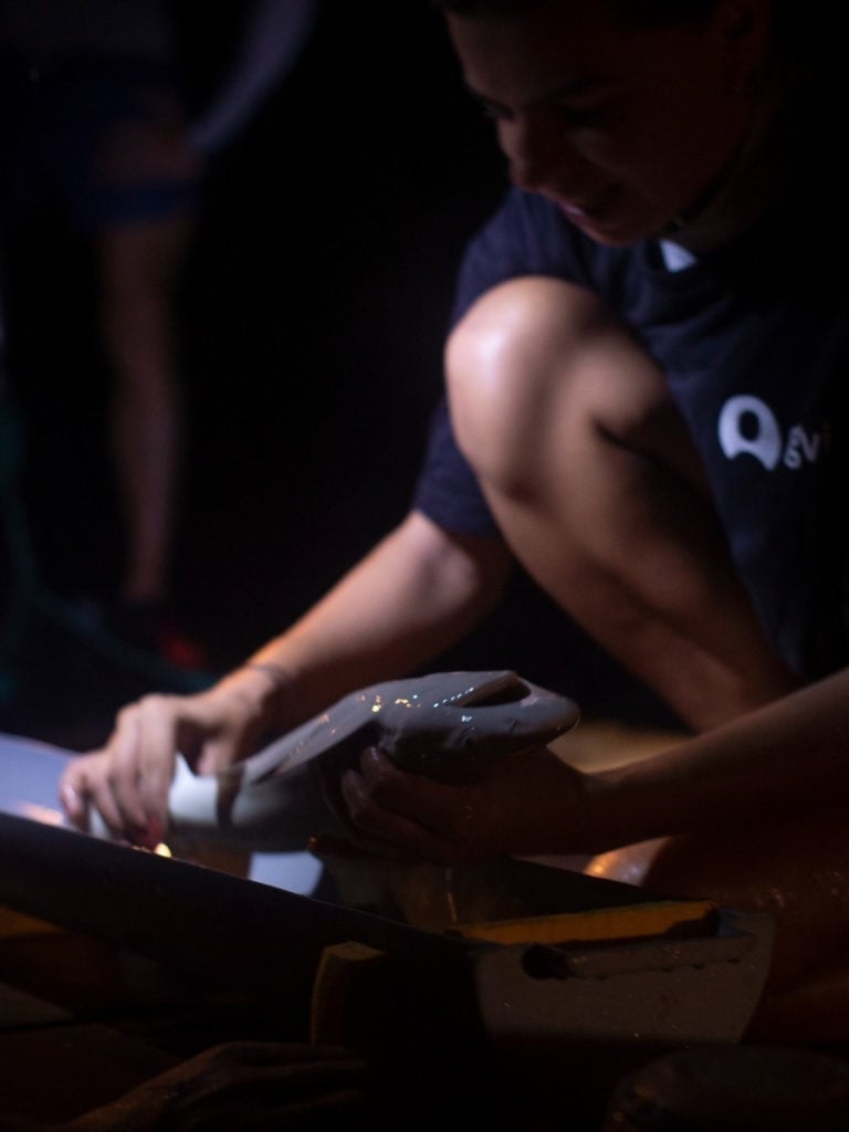 Lemon shark project