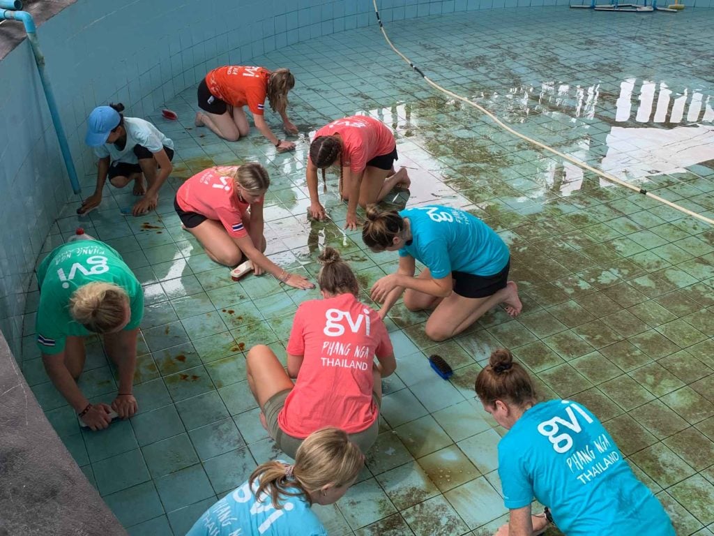 Volunteers cleaning up turtles