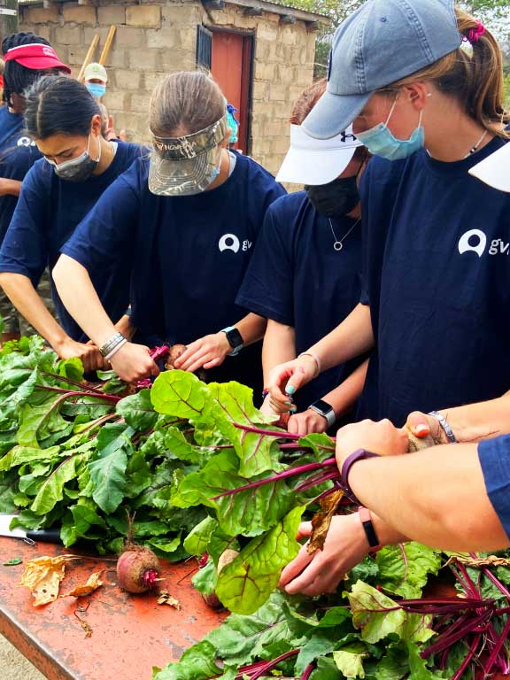 Volunteers working hard in a vegetable garden