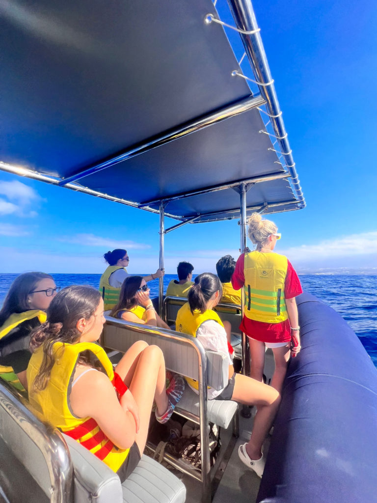 Getting ready for a dive