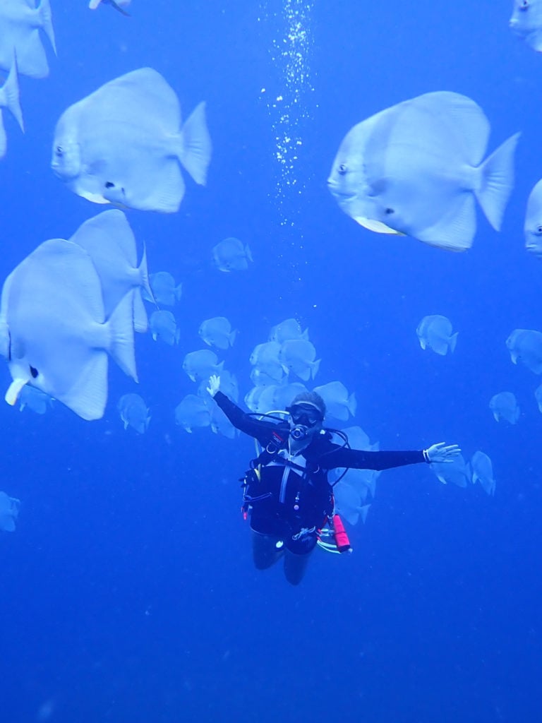 diver with fish