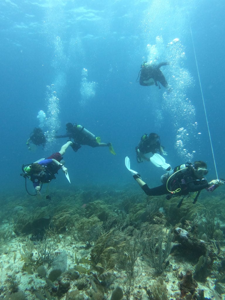 diving in Mexico