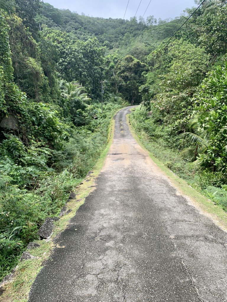 Long beautiful roads in the seychelles