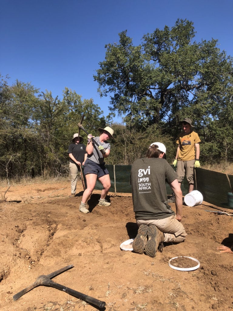 volunteering in Limpopo
