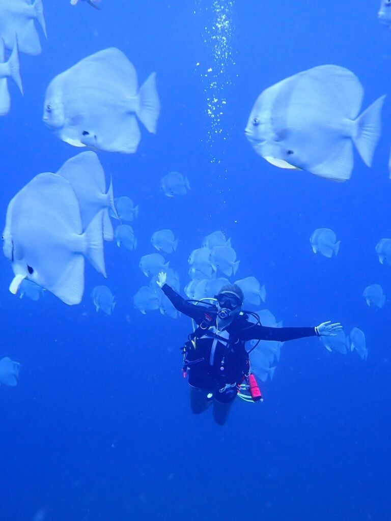 Volunteer diving with fish