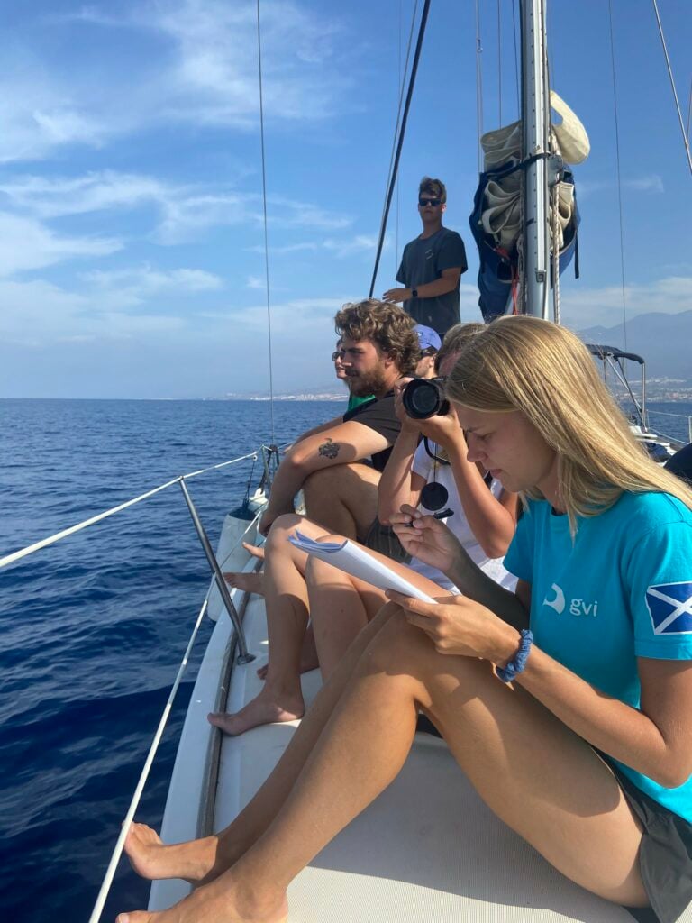 marine survey