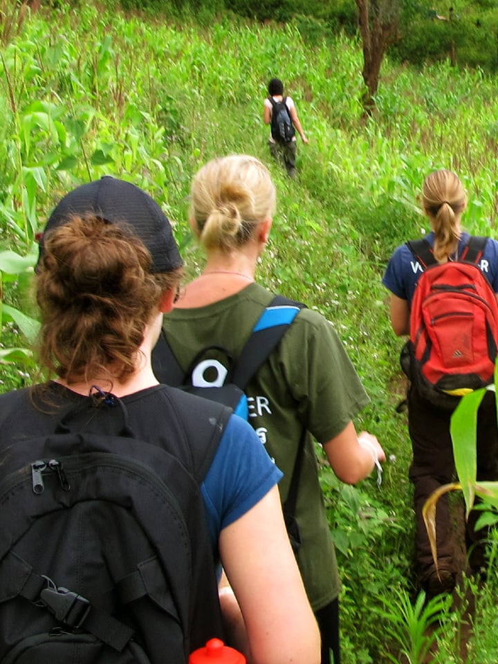 Research in a Thailand jungle
