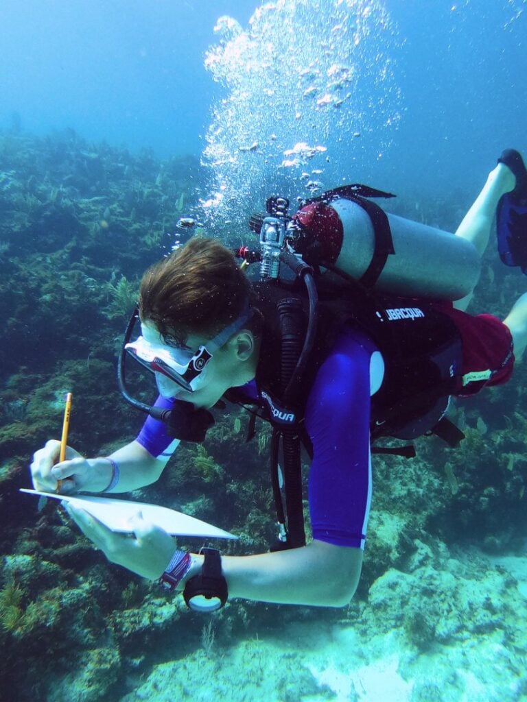dive survey
