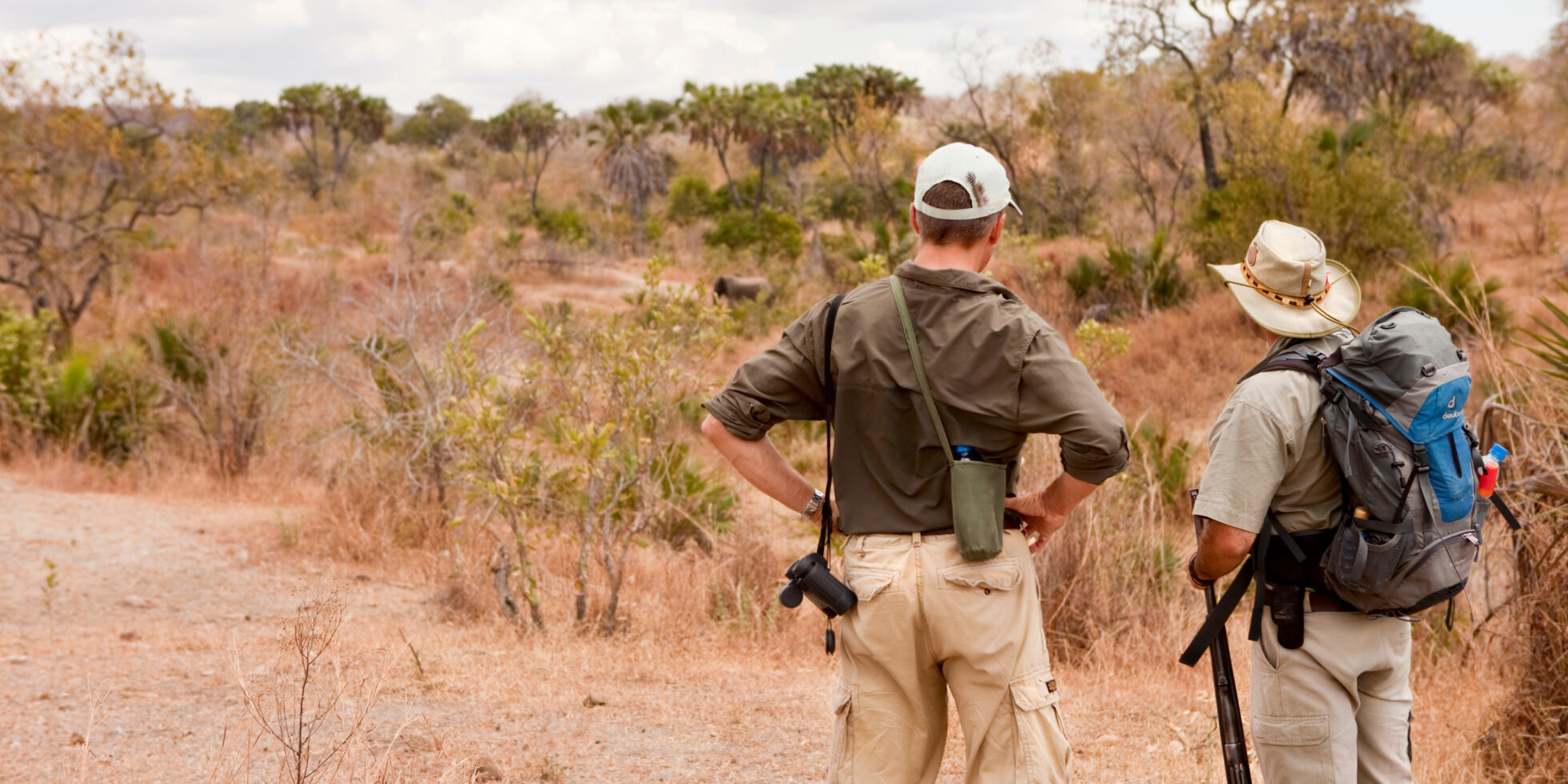Top 10 wildlife conservation jobs | GVI