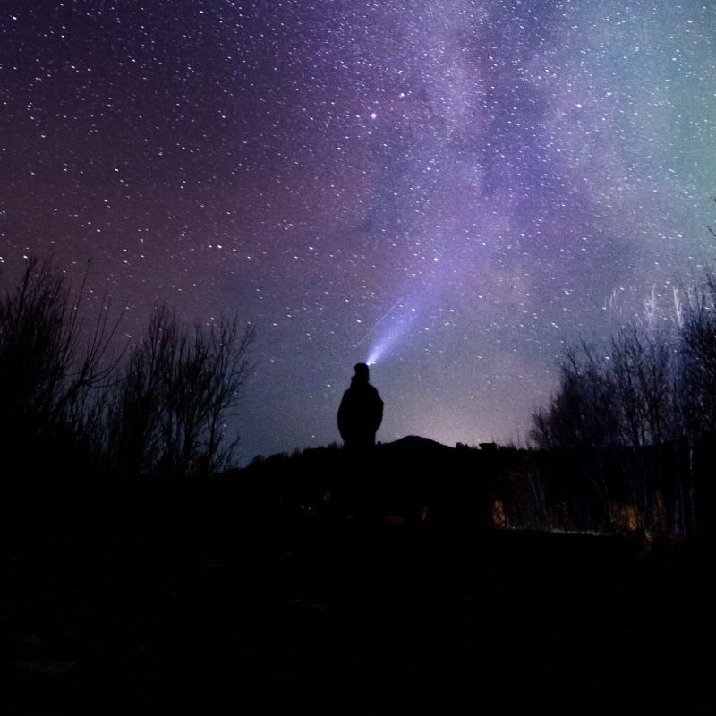 Enjoy a night sky safari