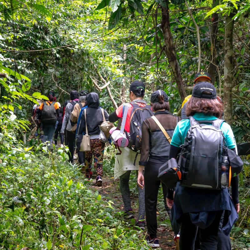 Hike through lush forests and across rocky plateaus