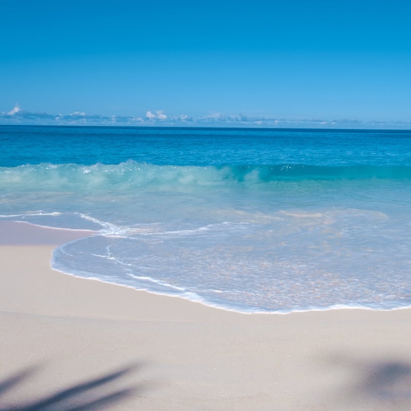 Swim at a secret beach