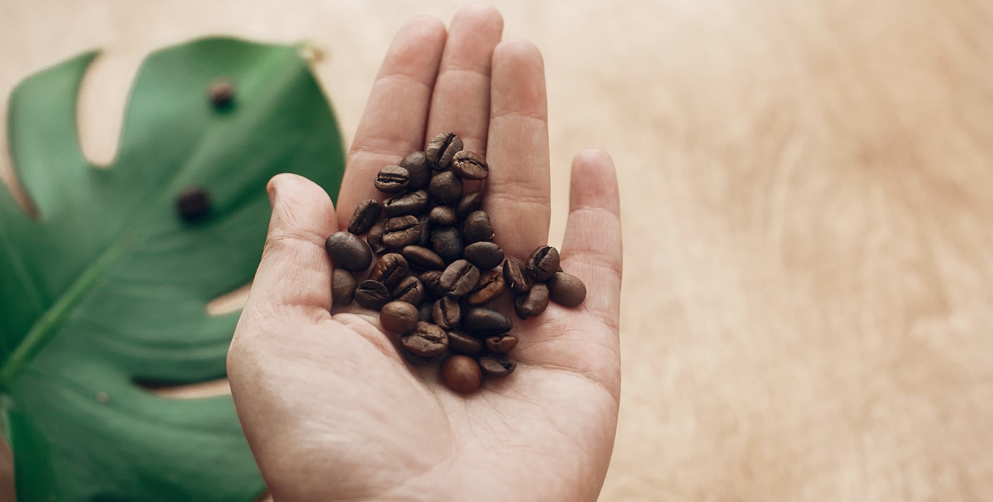 How to Make Coffee in Costa Rica A StepbyStep Guide GVI GVI