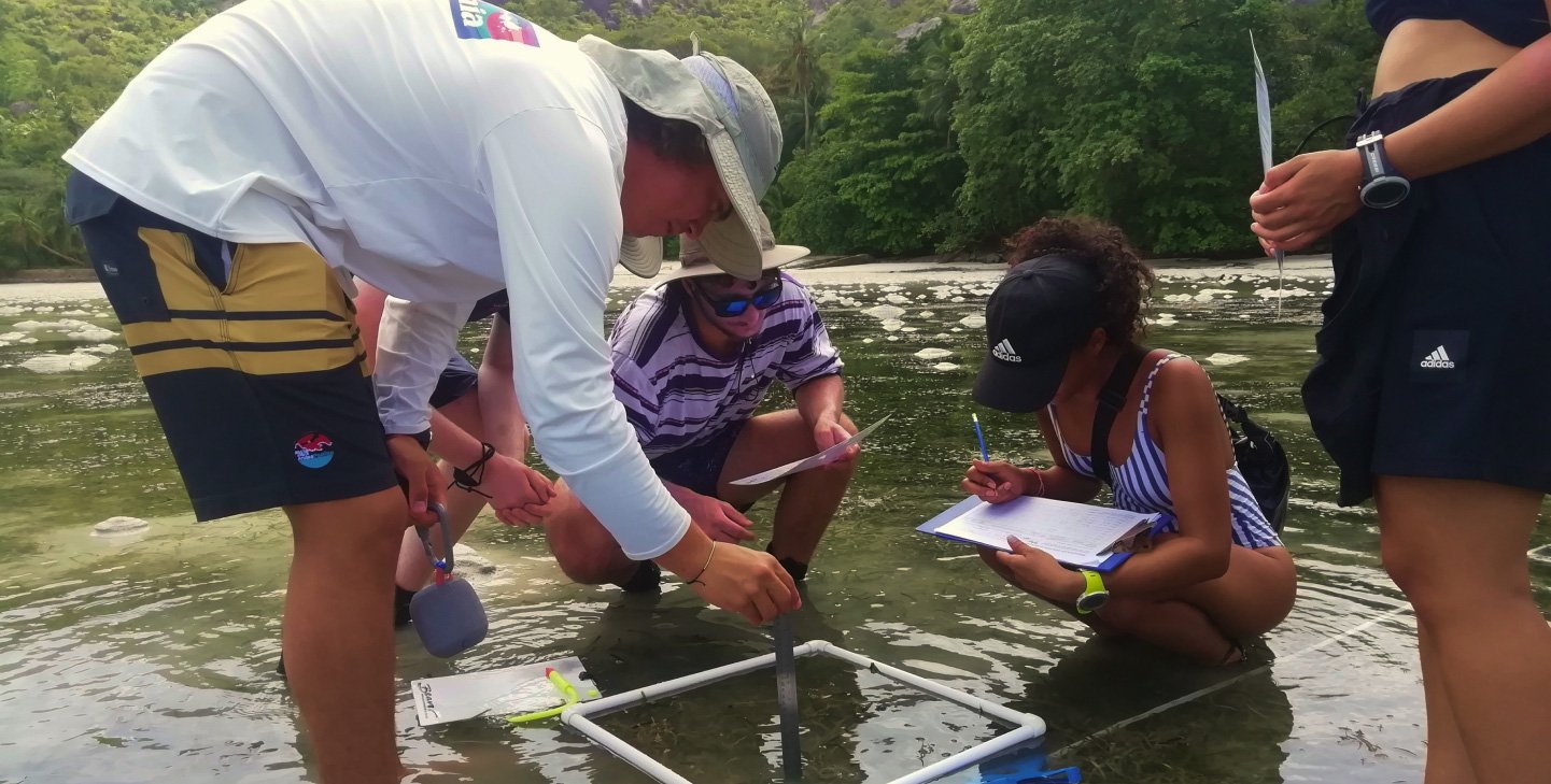 Citizen Science and iNaturalist: GVI's Comprehensive Guide | GVI