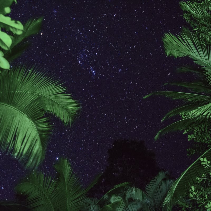 Stargaze from a jungle tower.