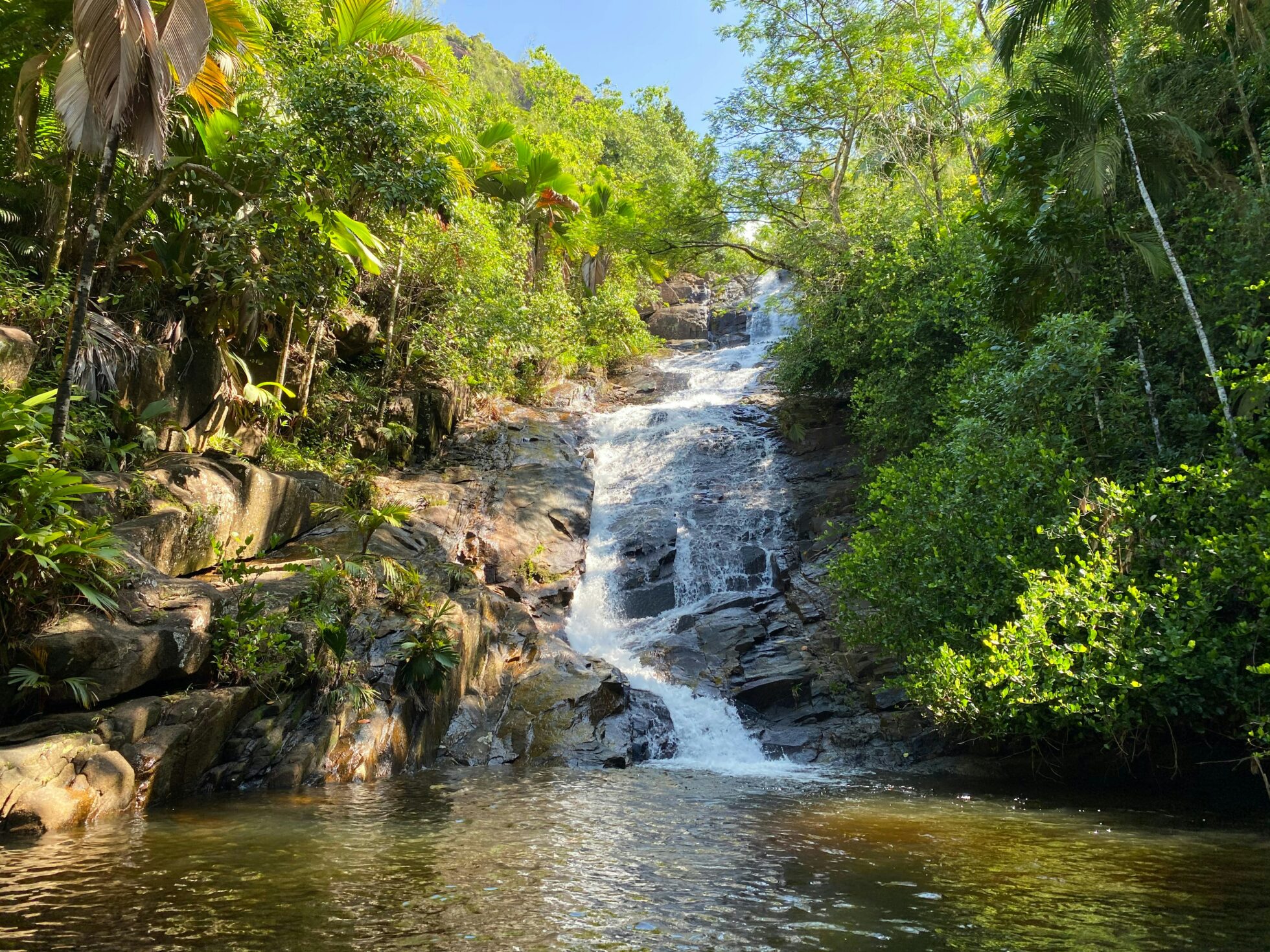 Sauzier waterfall hike and jungle picnic