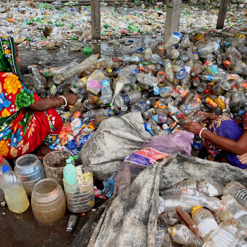 Support sustainability through recycled art