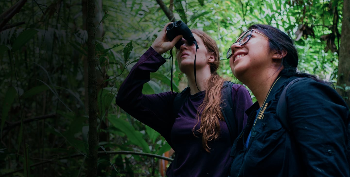 Volunteer Abroad And Conserve Our Beautiful Planet Gvi Planet