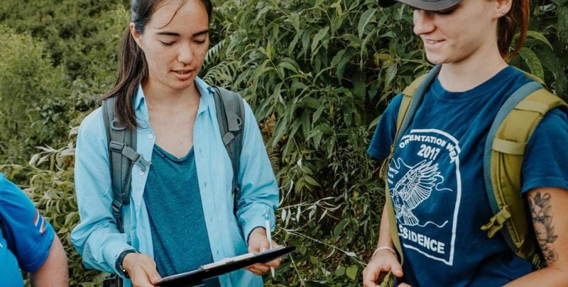 Conservation students researching in field