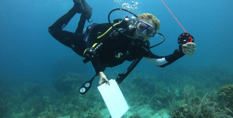 Man scuba diving collecting research