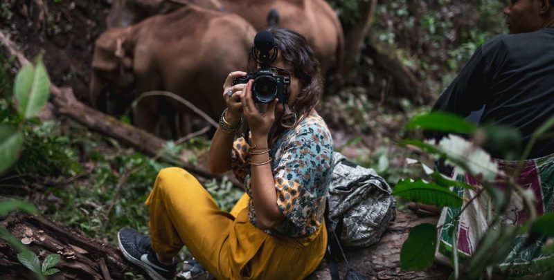 Women taking a photo in wildlife with elephants