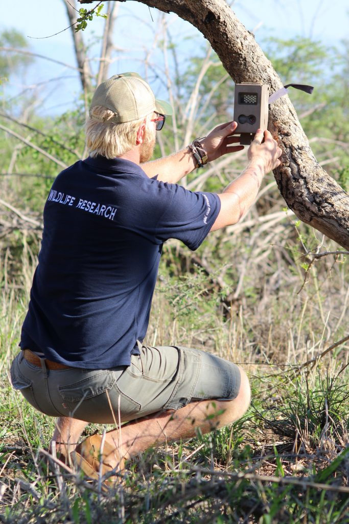 Wildlife Research in South Africa - Volunteer Expedition | GVI UK