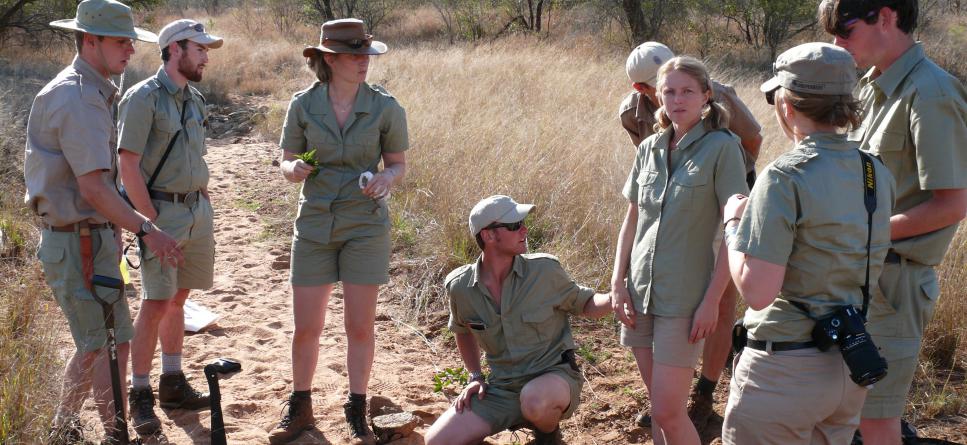 safari guide jobs south africa