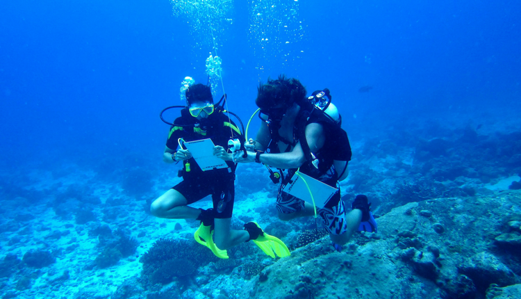 scuba divers