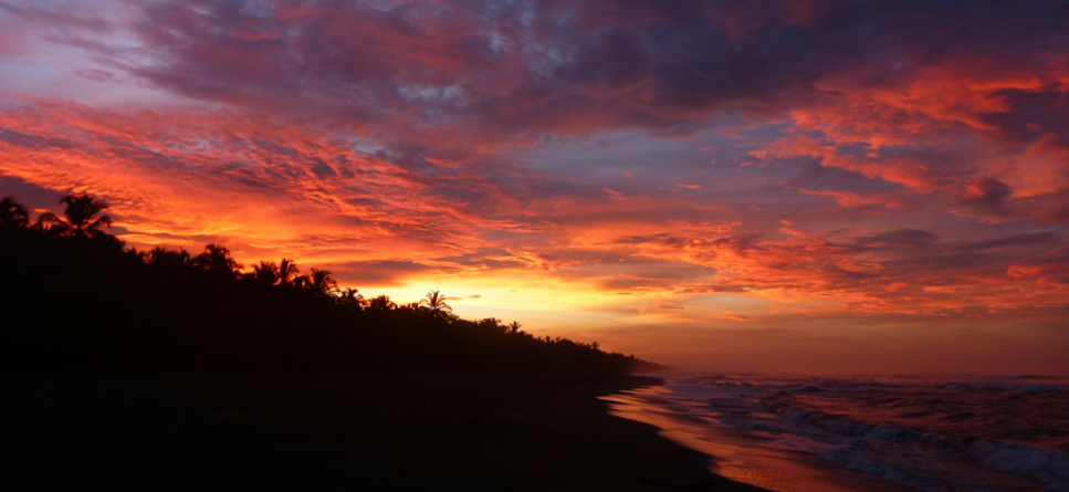 Jaguar Conservation 2 12 Weeks In Costa Rica Jobs Conservation - our award winning partner