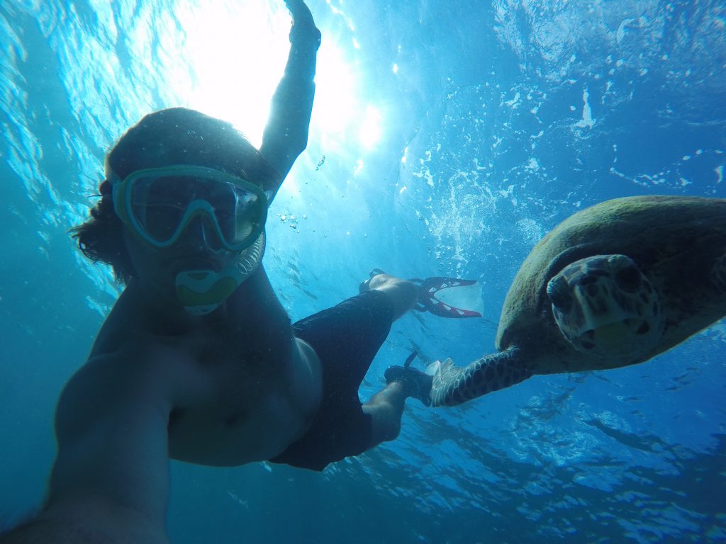 Swimming with a turtle