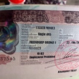 Success! New visa!