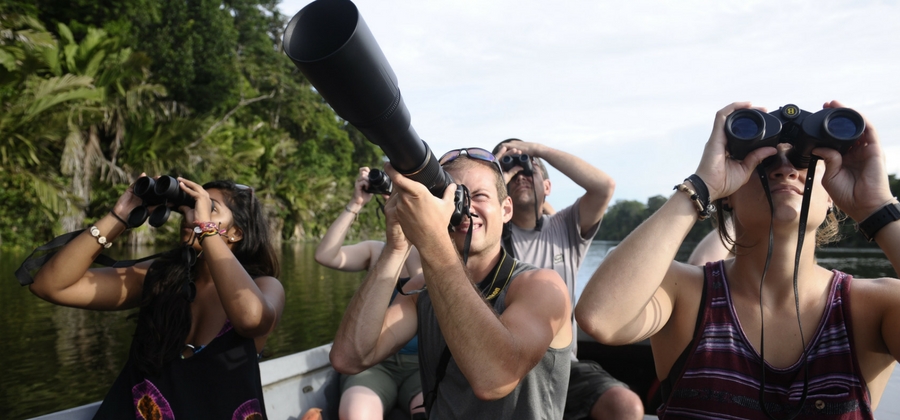 conservationist bird watching