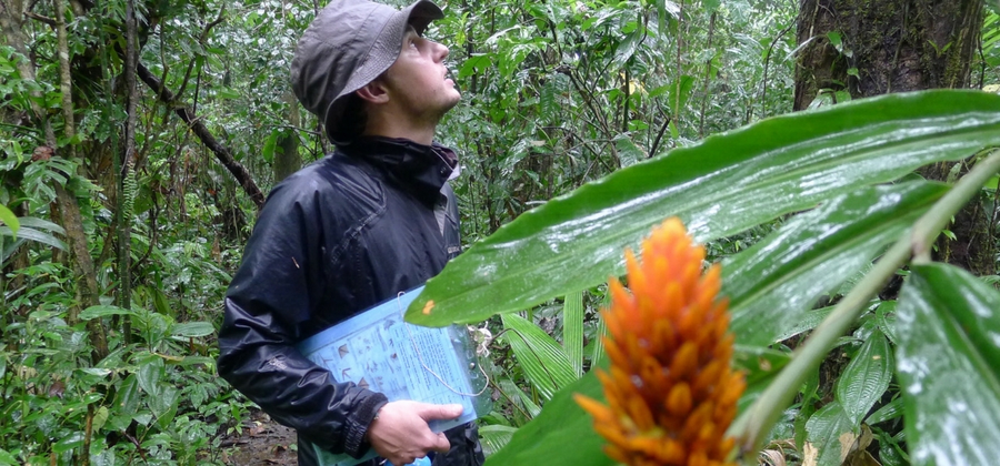 conservationist in rainforest