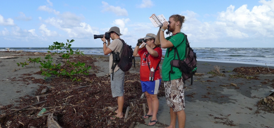 conservationists on the beach