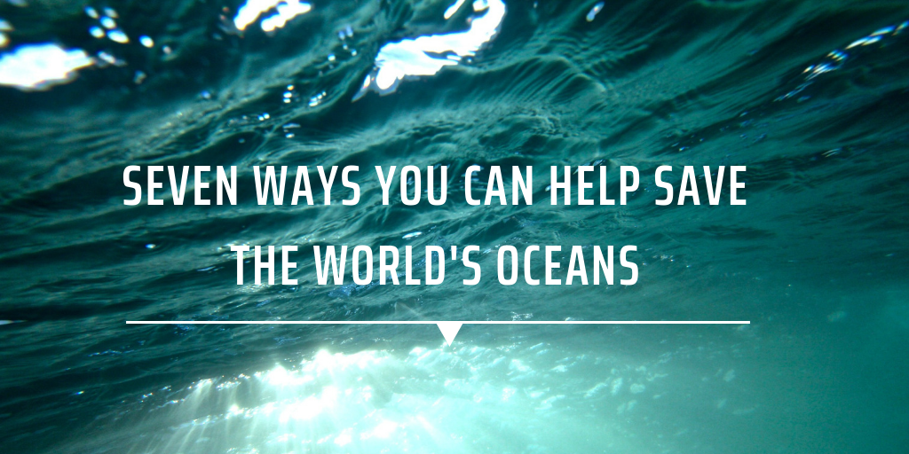 How Can We Save Ocean Life 8 Ways To Help The Oceans (and Why You ...